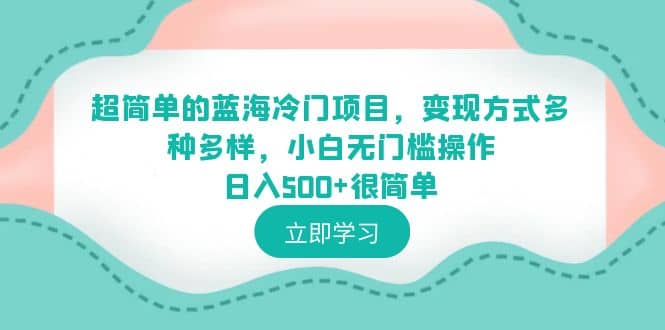 超简单的蓝海冷门项目，变现方式多种多样，小白无门槛操作日入500 很简单-优优资源网