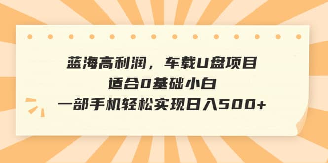 蓝海高利润，车载U盘项目，适合0基础小白，一部手机轻松实现日入500-优优资源网