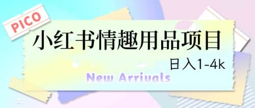 最新小红书情趣用品项目，日入1-4k-优优资源网