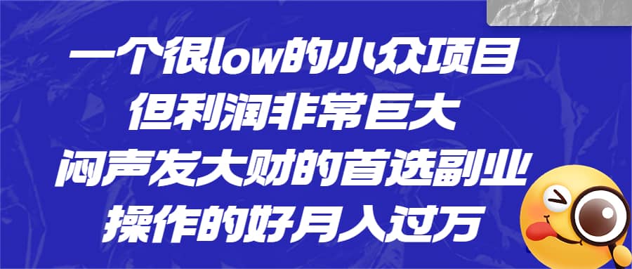 一个很low的小众项目，但利润非常巨大，闷声发大财的首选副业，月入过万-优优资源网