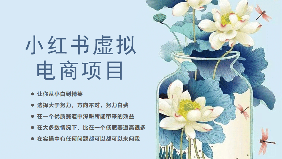 小红书虚拟电商从0到1，让你从小白到精英（20节实操课程）-优优资源网