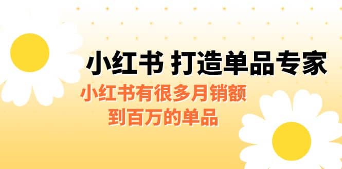 某公众号付费文章《小红书 打造单品专家》小红书有很多月销额到百万的单品-优优资源网