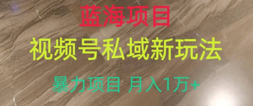 蓝海项目，视频号私域新玩法，暴力项目月入1万 【揭秘】-优优资源网