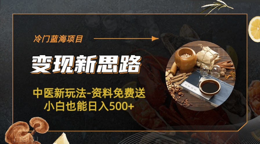 冷门蓝海项目-中医新玩法-冷门蓝海项目-中医新玩法-资料免费送小白也能日入500 500-优优资源网