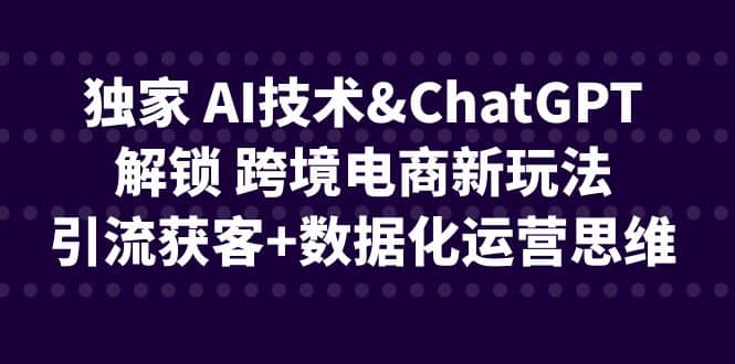独家 AI技术ChatGPT解锁 跨境电商新玩法，引流获客 数据化运营思维-优优资源网