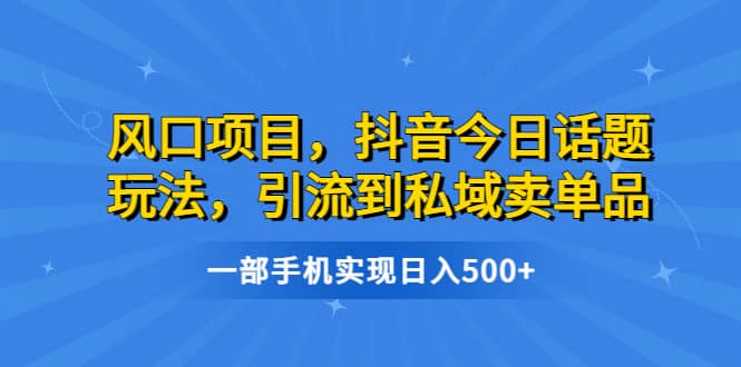风口项目，抖音今日话题玩法，引流到私域卖单品，一部手机实现日入500-优优资源网