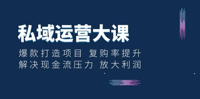 私域运营大课：爆款打造项目 复购率提升 解决现金流压力 放大利润-优优资源网