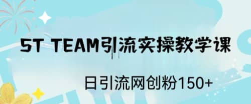 ST TEAM引流实操课，日引流网创粉100-优优资源网