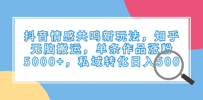 抖音情感共鸣新玩法，知乎无脑搬运，单条作品涨粉5000 ，私域转化日入500-优优资源网