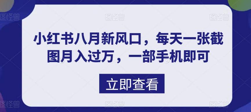 八月新风口，小红书虚拟项目一天收入1000 ，实战揭秘-优优资源网