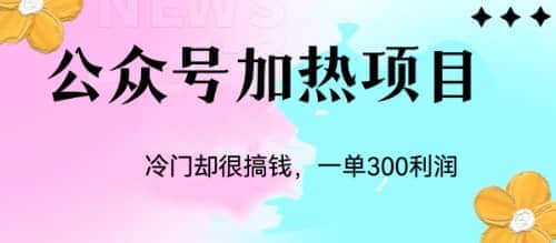 冷门公众号加热项目，一单利润300-优优资源网