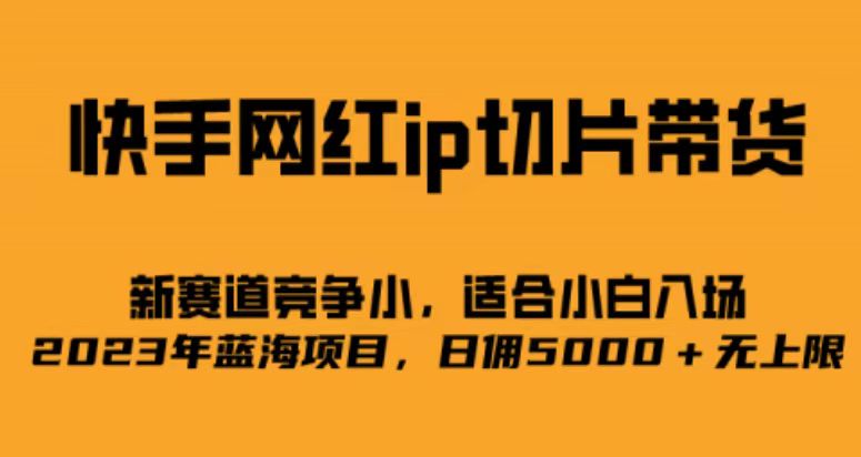 快手网红ip切片新赛道，竞争小事，适合小白 2023蓝海项目-优优资源网