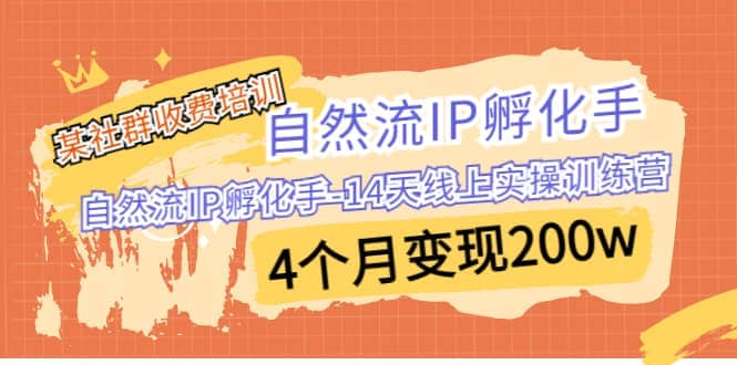 某社群收费培训：自然流IP 孵化手-14天线上实操训练营 4个月变现200w-优优资源网