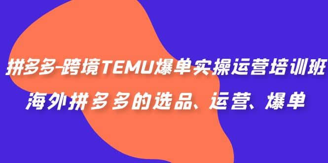 拼多多-跨境TEMU爆单实操运营培训班，海外拼多多的选品、运营、爆单-优优资源网