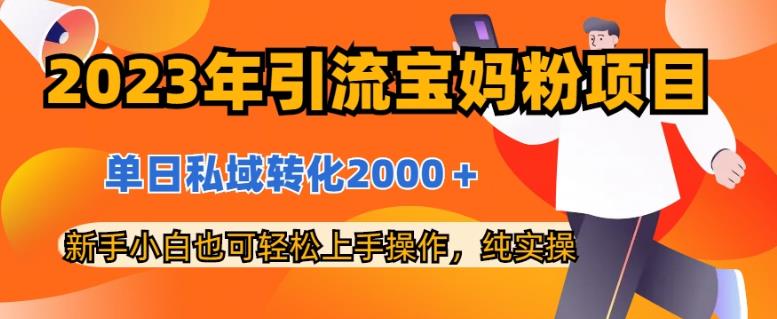 2023年引流宝妈粉项目，单日私域转化2000＋，新手小白也可轻松上手操作，纯实操-优优资源网