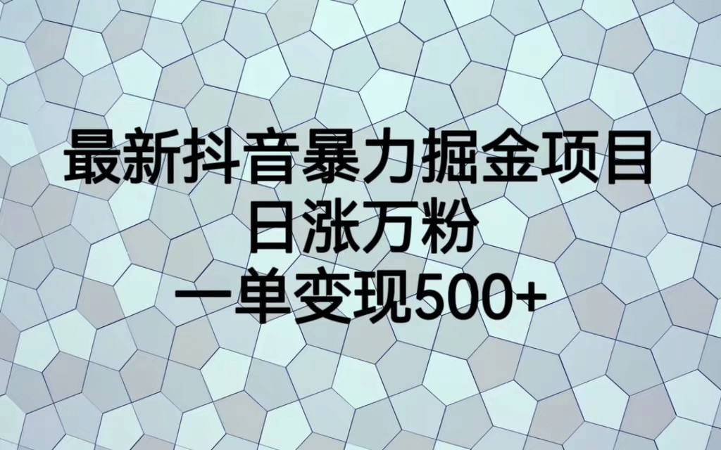 最火热的抖音暴力掘金项目，日涨万粉，多种变现方式，一单变现可达500-优优资源网