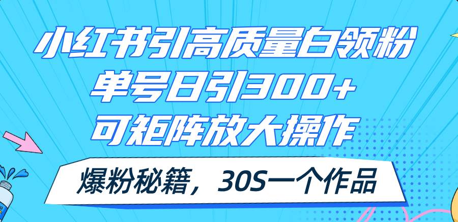 小红书引高质量白领粉，单号日引300+，可放大操作，爆粉秘籍！30s一个作品-优优资源网