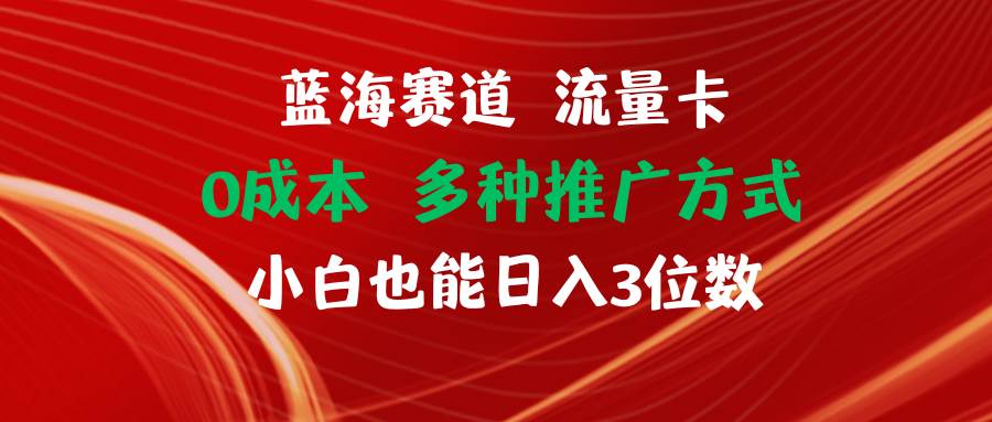 蓝海赛道 流量卡 0成本 小白也能日入三位数-优优资源网