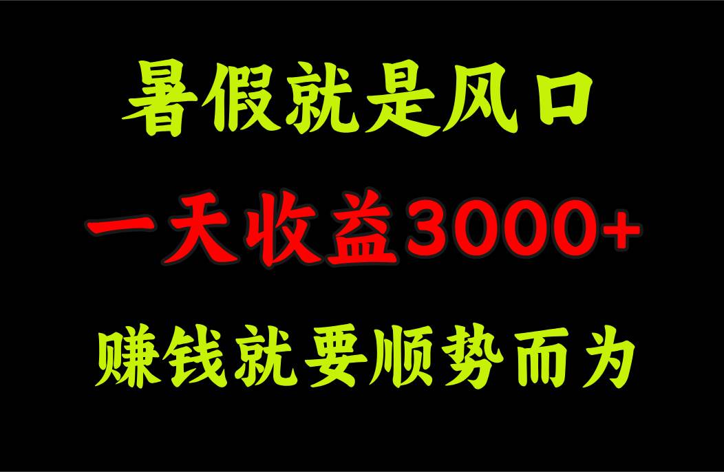 一天收益3000+ 赚钱就是顺势而为，暑假就是风口-优优资源网