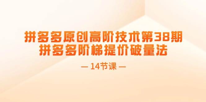 拼多多原创高阶技术第38期，拼多多阶梯提价破量法（14节课）-优优资源网
