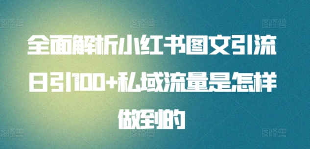 全面解析小红书图文引流日引100私域流量是怎样做到的-优优资源网