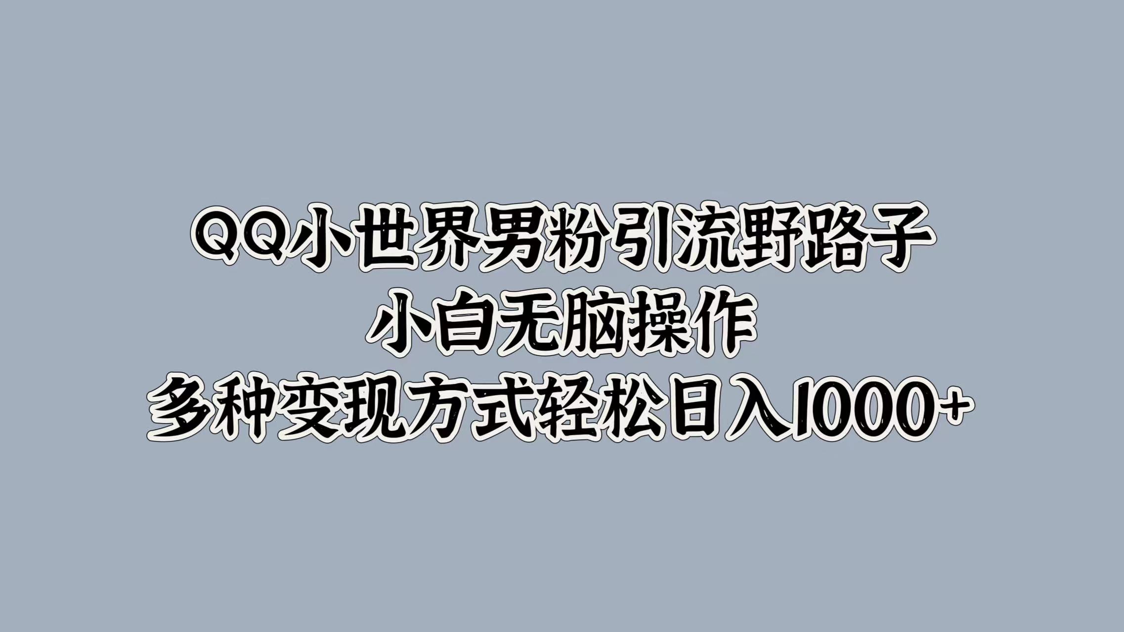 QQ小世界男粉引流野路子，小白无脑操作，多种变现方式轻松日入1000+-优优资源网