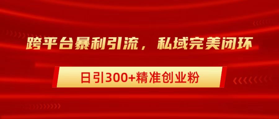跨平台暴力引流，私域完美闭环，日引300+精准创业粉-优优资源网