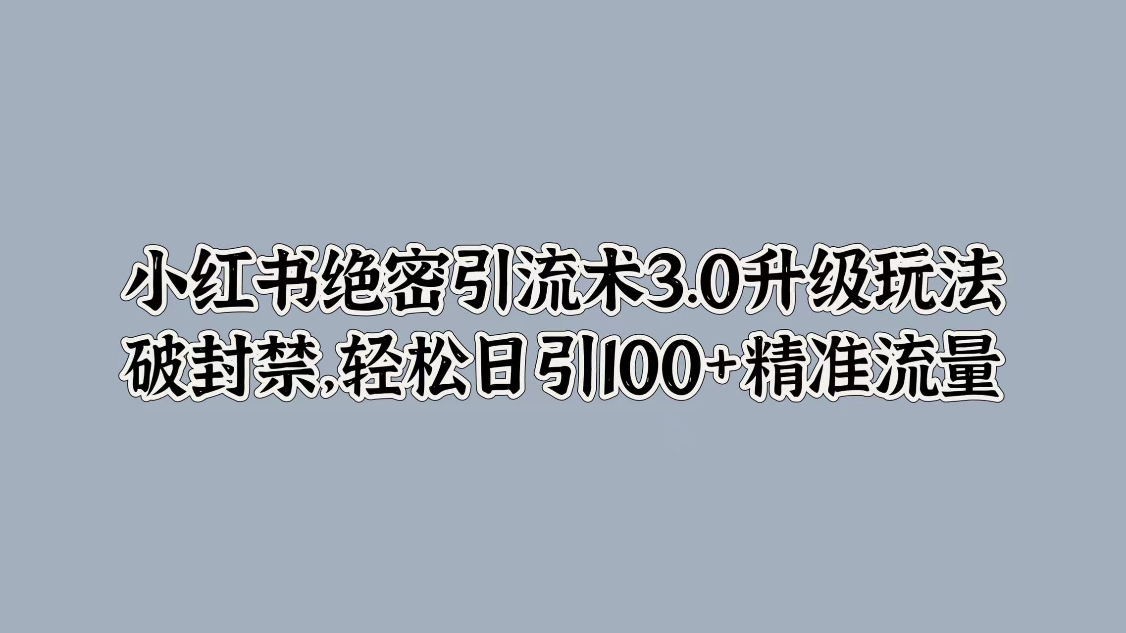 小红书绝密引流术3.0升级玩法，破封禁，轻松日引100+精准流量-优优资源网
