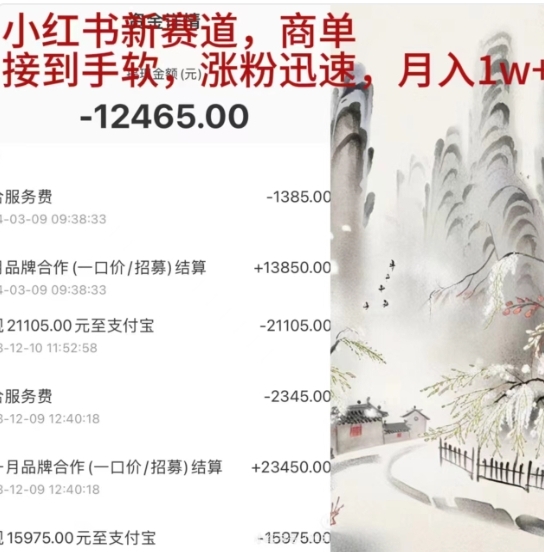小红书新赛道，商单接到手软，涨粉迅速，一个月1w+-优优资源网