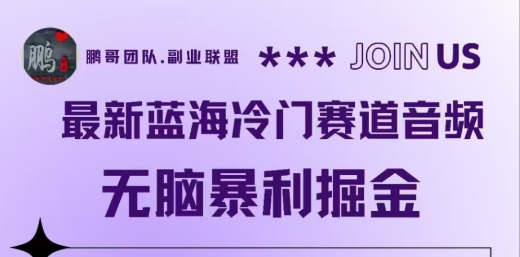 最新蓝海冷门赛道音频，无脑暴利掘金-优优资源网