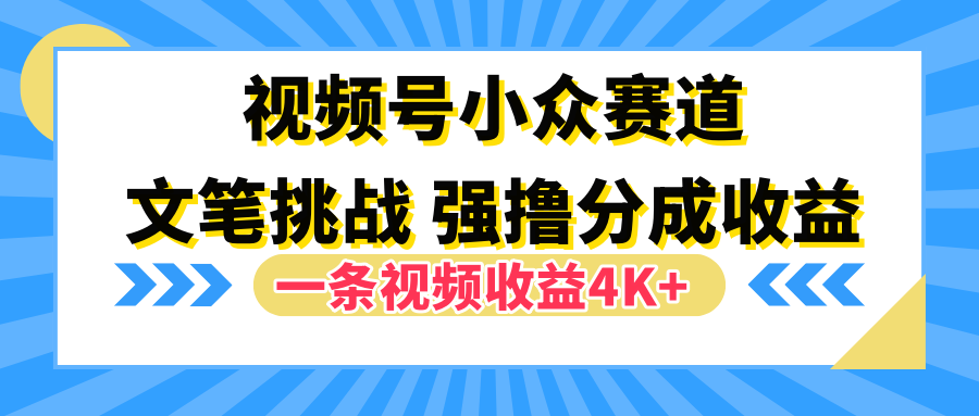 视频号小众赛道，文笔挑战，一条视频收益4K+-优优资源网