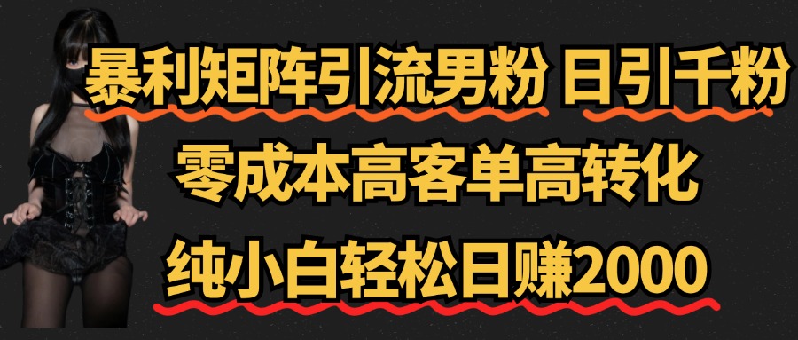 暴利矩阵引流男粉（日引千粉），零成本高客单高转化，纯小白轻松日赚2000+-优优资源网