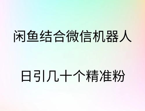闲鱼结合微信机器人，日引几十个精准粉-优优资源网