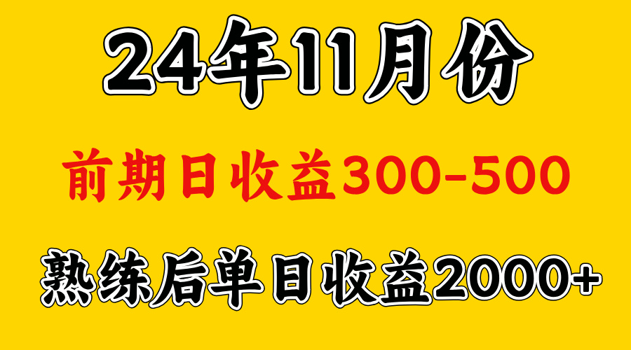 轻资产项目，前期日收益500左右，后期日收益1500-2000左右，多劳多得-优优资源网