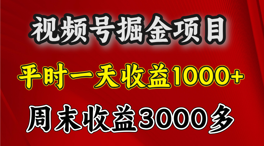 官方项目，一周一结算，平时收益一天1000左右，周六周日收益还高-优优资源网