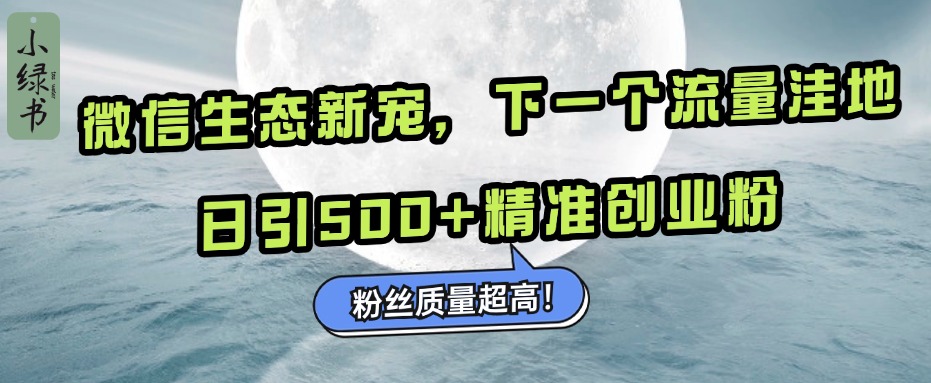 微信生态新宠小绿书：下一个流量洼地，粉丝质量超高，日引500+精准创业粉，-优优资源网