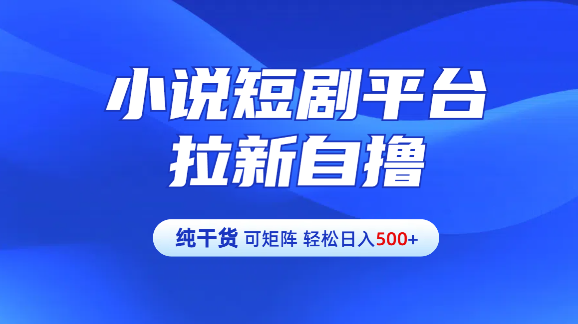 【纯干货】小说短剧平台拉新自撸玩法详解-单人轻松日入500+-优优资源网