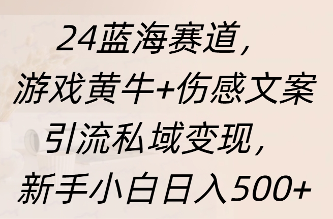 24蓝海赛道，游戏黄牛+伤感文案引流私域变现，新手日入500+-优优资源网