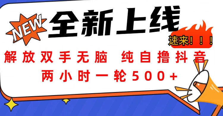 解放双手无脑 纯自撸抖音 两小时一轮500+-优优资源网