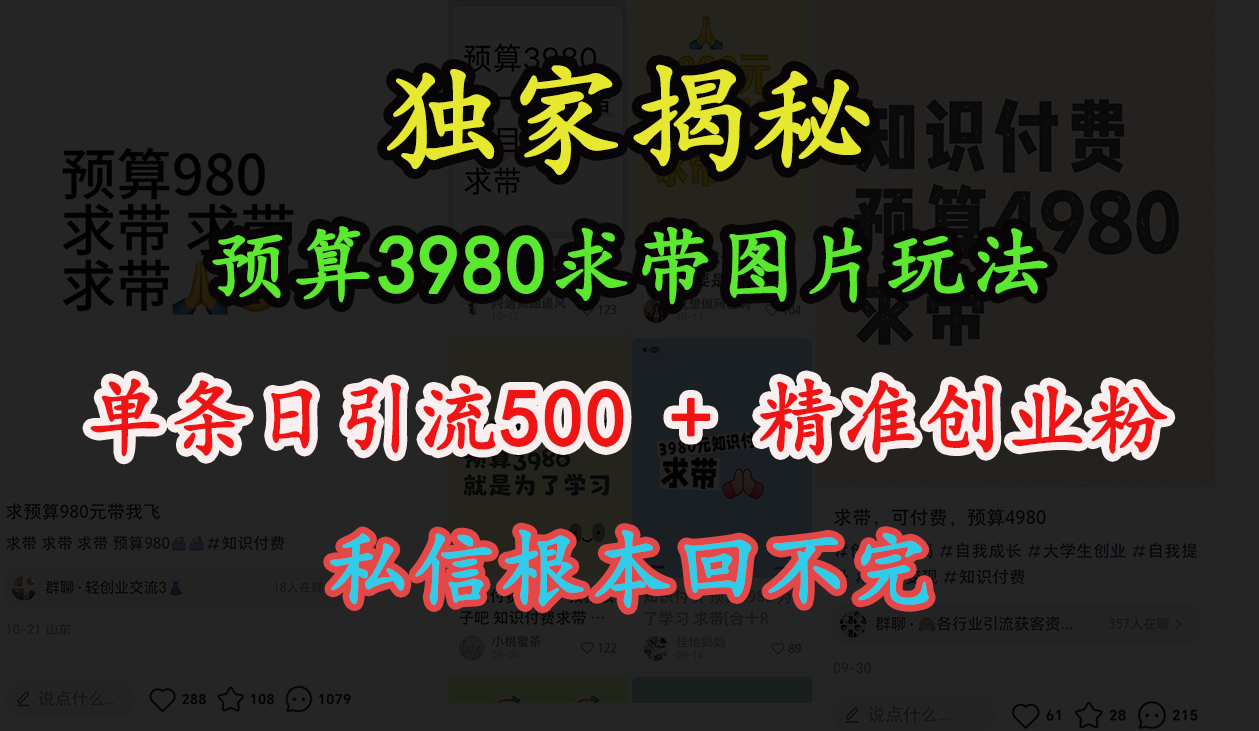 “小红书”预算3980求带 图片玩法，单条日引流500+精准创业粉，私信根本回不完-优优资源网