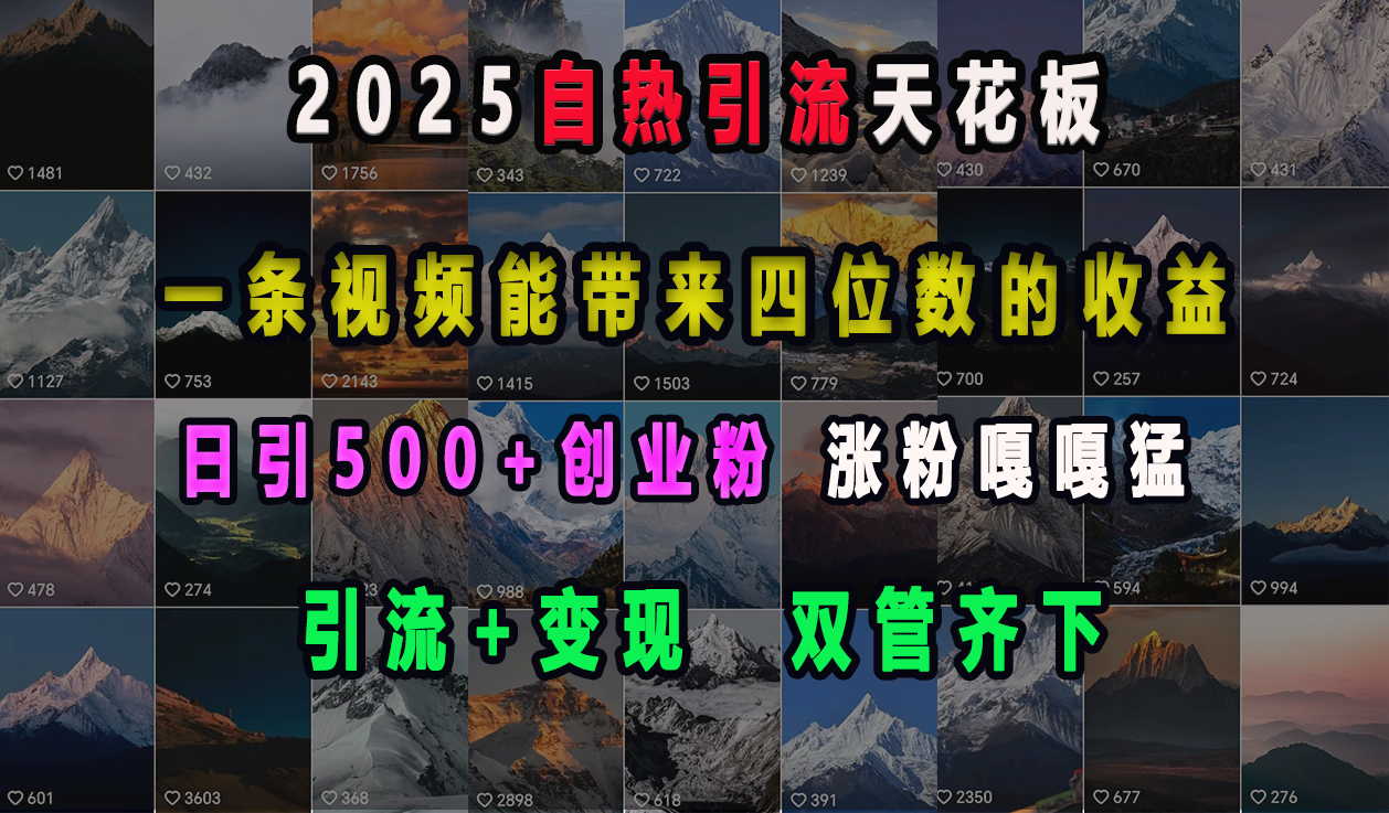 2025自热引流天花板，一条视频能带来四位数的收益，引流+变现双管齐下，日引500+创业粉，涨粉嘎嘎猛-优优资源网