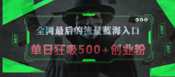 全网最后的流量蓝海入口，半小时引流50+创业粉，单日狂吸500+创业粉-优优资源网