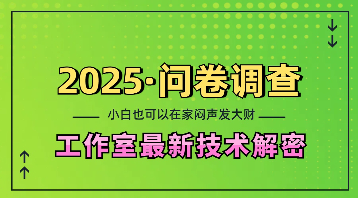 2025《问卷调查》最新工作室技术解密：一个人在家也可以闷声发大财，小白一天200+，可矩阵放大-优优资源网