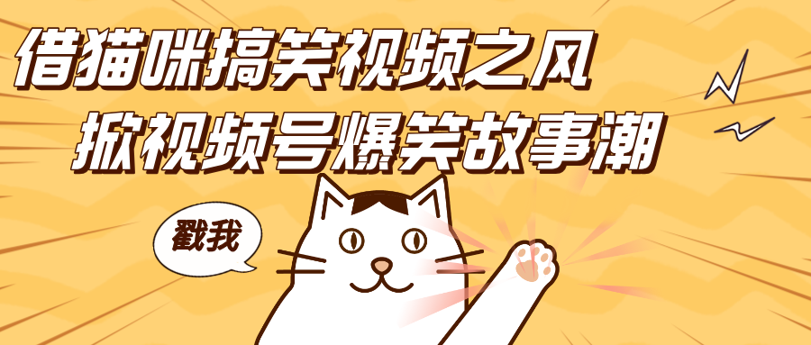 借猫咪搞笑视频之风，掀视频号爆笑故事潮，轻松日赚四位数，开启无门槛赚钱新体验！-优优资源网