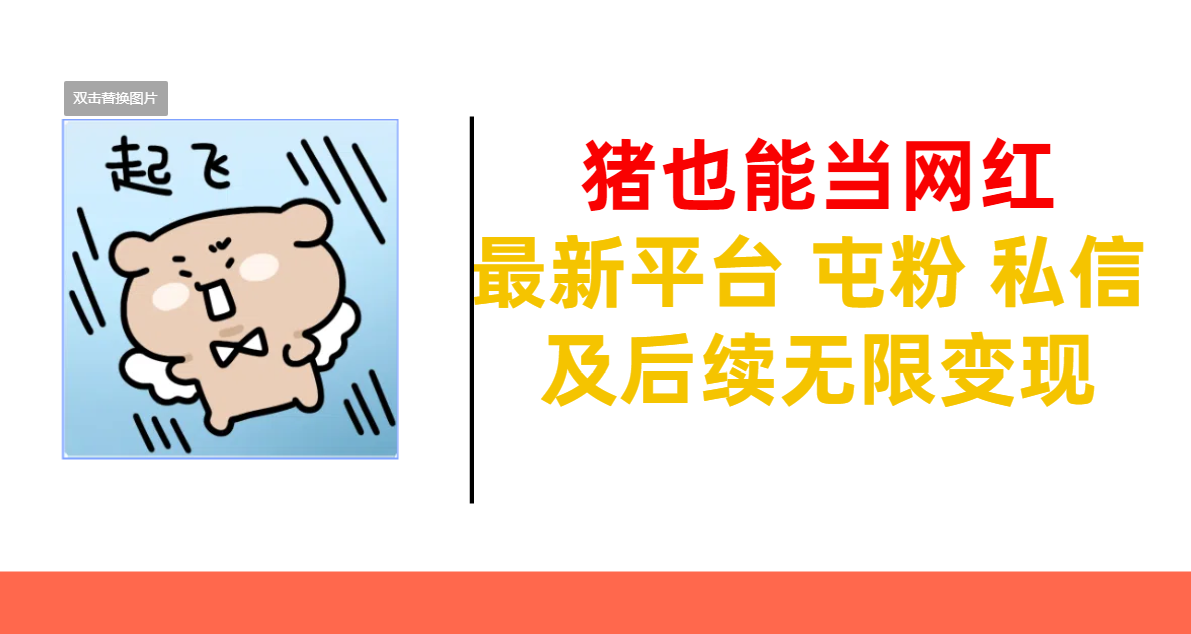 猪也能当网红-最新平台 屯粉 交流 私信 及后续无限变现-优优资源网