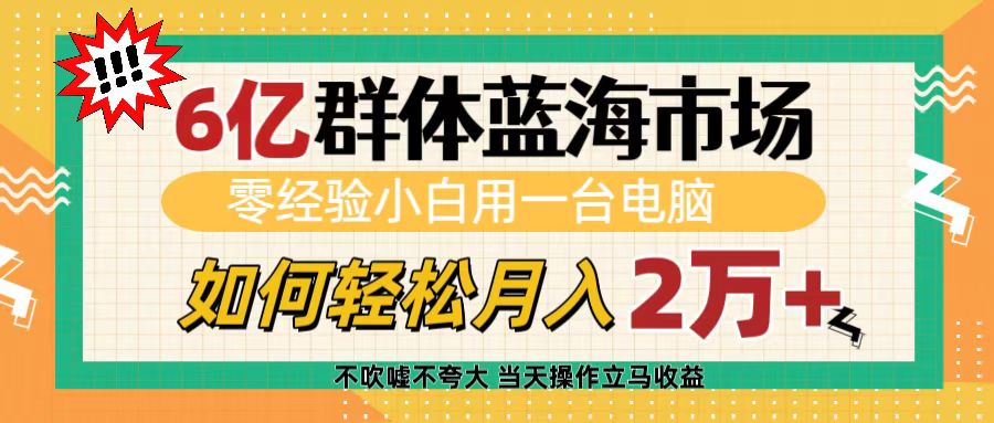 6亿群体蓝海市场，零经验小白用一台电脑，如何轻松月入2万+-优优资源网
