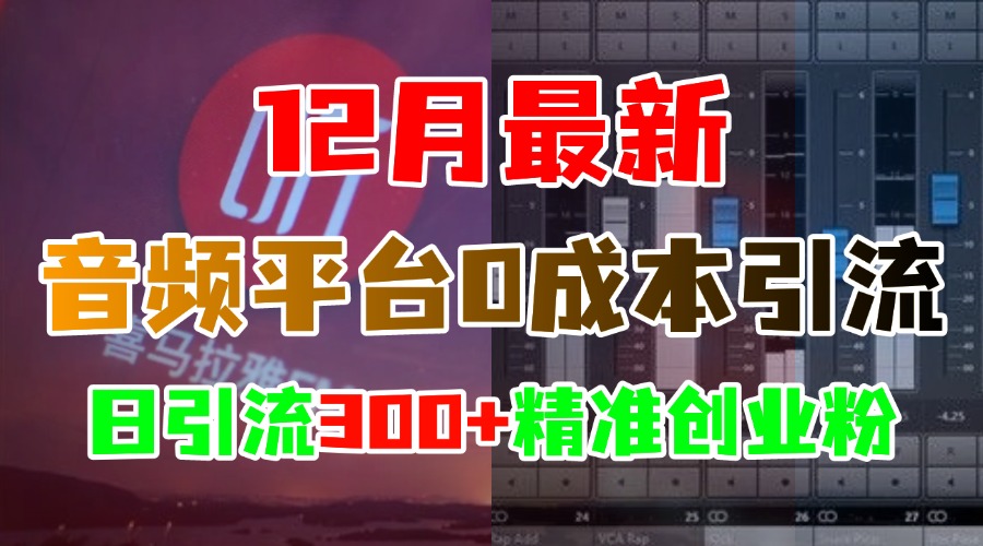 12月最新：音频平台0成本引流，日引300+精准创业粉-优优资源网