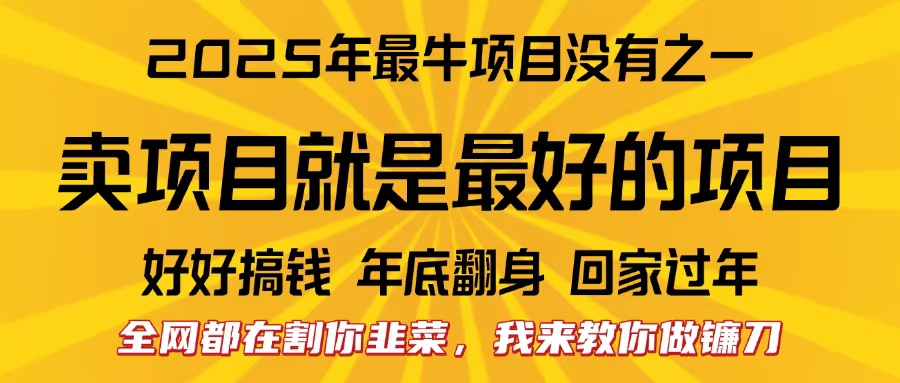 全网都在割你韭菜，我来教你做镰刀。卖项目就是最好的项目，2025年最牛互联网项目-优优资源网