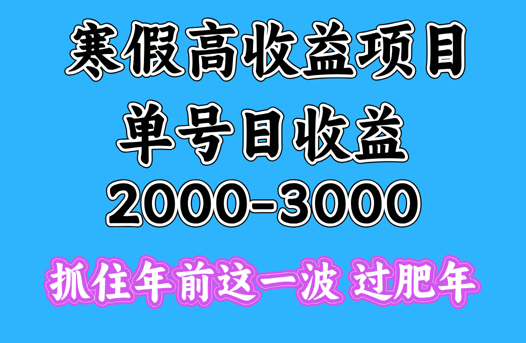 寒假期间一天收益2000-3000+，抓住年前这一波-优优资源网