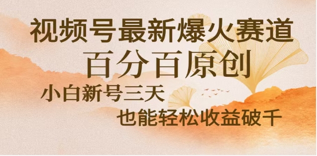 视频号独家玩法，老年养生赛道，无脑搬运爆款视频，日入2000+-优优资源网